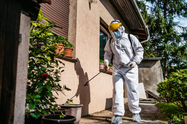 Best Best Pest Control Companies  in Shamrock, TX