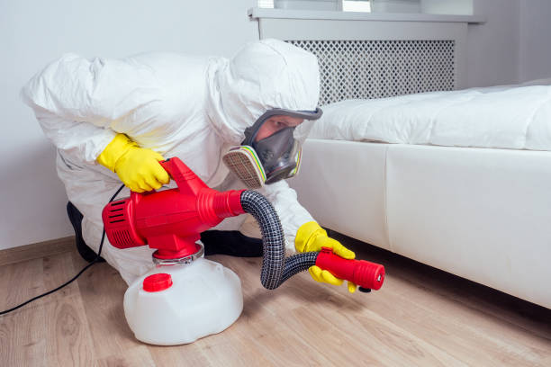 Best Ant Control Services  in Shamrock, TX