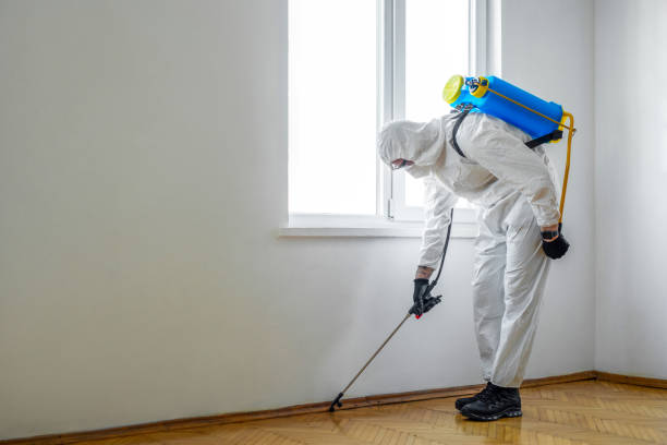 Best Affordable Pest Control Services  in Shamrock, TX