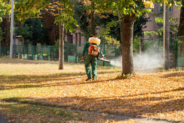 Best Pest Prevention Services  in Shamrock, TX