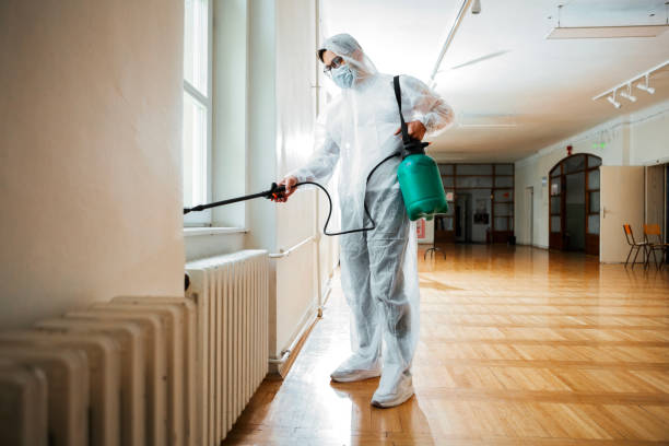 Best Affordable Pest Control Services  in Shamrock, TX