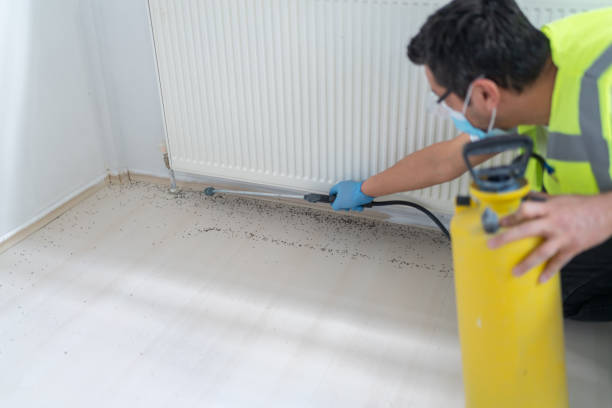 Best Pest Removal Services  in Shamrock, TX