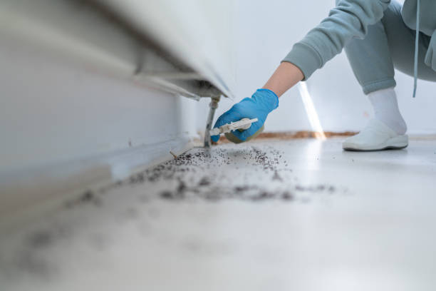 Best Commercial Pest Control Services  in Shamrock, TX